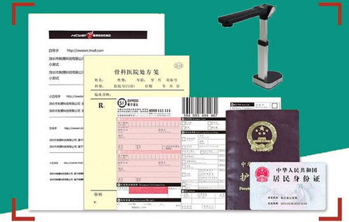 樟树价格的影响因素