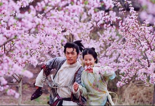 移植的环境：水肥陷阱