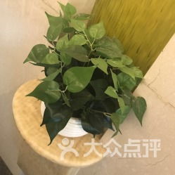 常春麻油藤的多样食法