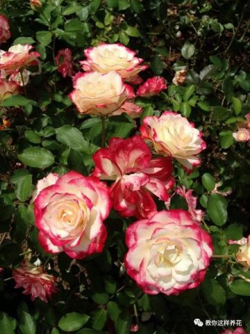 温度要适宜， 温差要控制