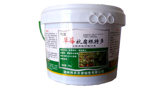 听起来douhen厉害，那怎么选择呢？