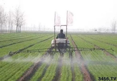 补救措施：及时行动， 挽救损失