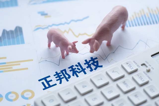 正邦集团与正邦科技的关系，导致正邦科技被猪吃掉的原因是什么？