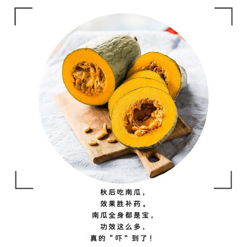 南瓜叶大用途，你知道它如何护肤吗