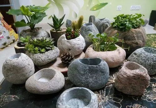 石头花盆DIY，新手也能轻松上手