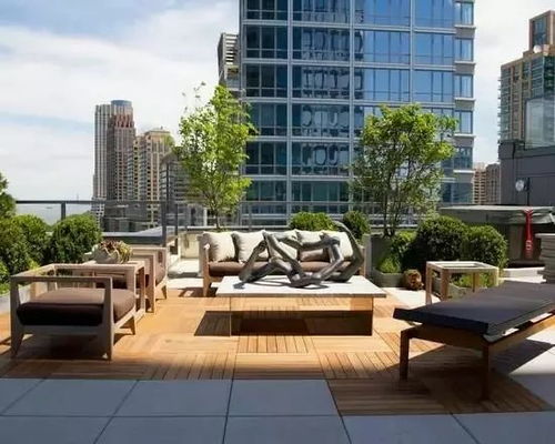 南北向阳台，蔬菜种植各有讲究