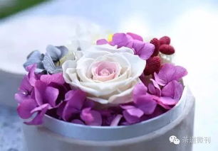 双：永生花寓意美好