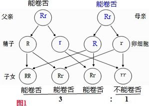 作用机理：神奇药水的魔法