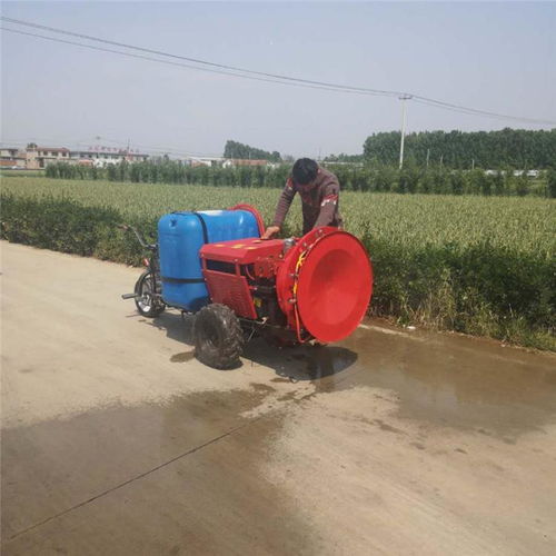 先说说我个人的kan法吧