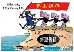 “钱兜兜黄叶掉落的原因及新手急救措施详解