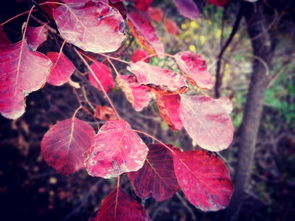 防寒措施大揭秘