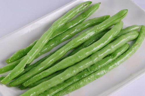 四季豆生长季节如何，去哪里可以品尝到正宗的四季豆美食呢