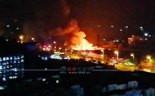 大型木材市场， 批发合适