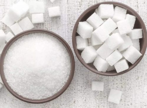 防寒保暖，白芷宝宝的过冬神器