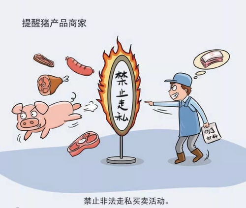 非洲猪瘟防控，谨防误操作成致命漏洞