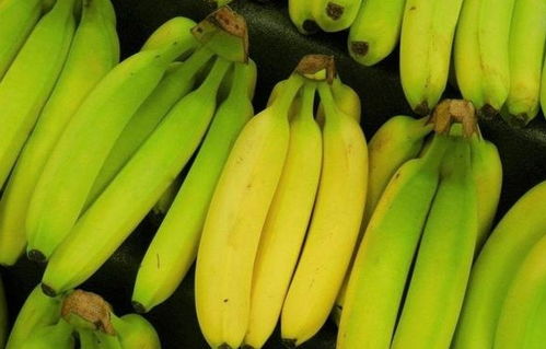 海南香蕉降价事件