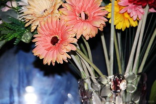 秋天收获的季节