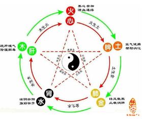 金蛇：财富与权力的象征