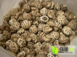 如何挑选西峡香菇