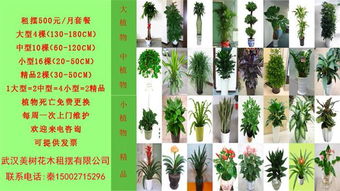 我与自然的对话