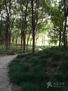 园地与林地的差异揭秘