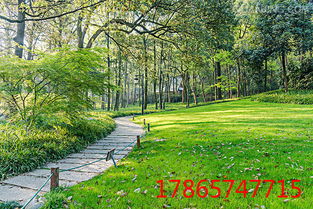 不同草种，播种量也不同