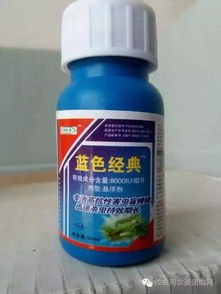 小麦地里施了除草剂，几天后Neng浇水呢？