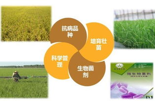 通为饲料的优质饲料如何助力我国养殖业的可持续发展？