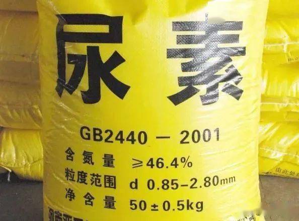 金钱兜浇水需保持土壤微湿，每周浇水一次；施肥宜用复合肥