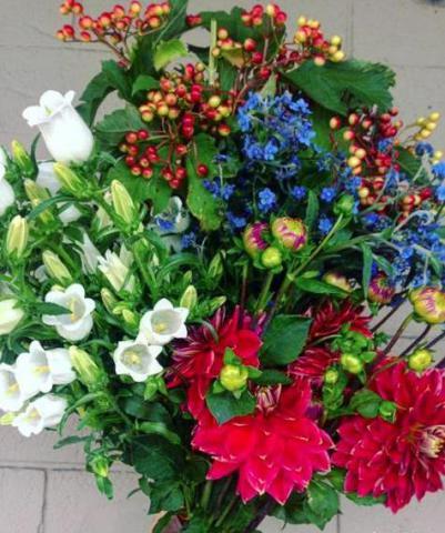 揭秘红花羊蹄甲的花语：探索其深意与美丽传说