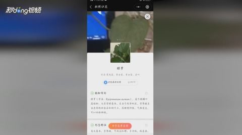 图片识别花卉，如何快速锁定品种