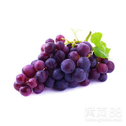 生物制剂篇：绿色环保的防治新选择