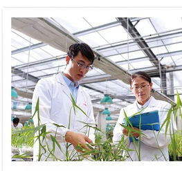 常用的除草剂除的是哪些杂草？有哪些常用的除草剂种类？
