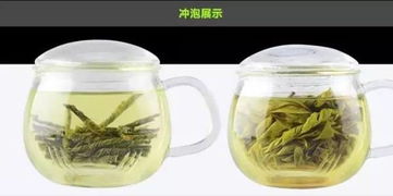 苦丁茶菊花茶，清热解毒