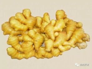 生姜青虫子的克星来了！