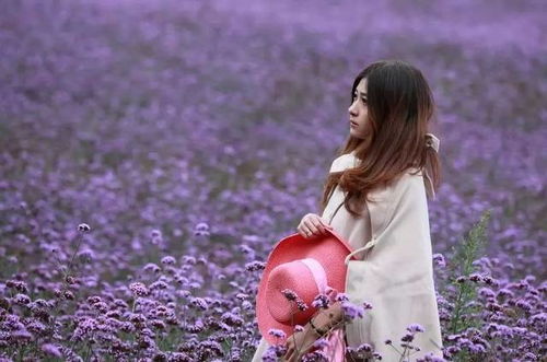 秋风中的女人与花