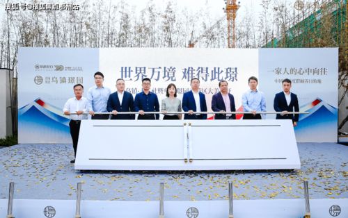 绿植养护合同：一年费用规划的小秘密