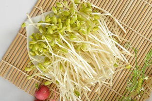 芽前除草剂是个啥？