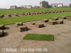 栽种技巧，步步为营
