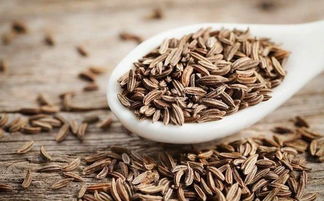 河源龙川茶油基地：揭秘天然健康茶油的种植奥秘！