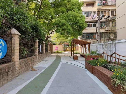 亭子下的绿意盎然：耐旱花卉选择指南