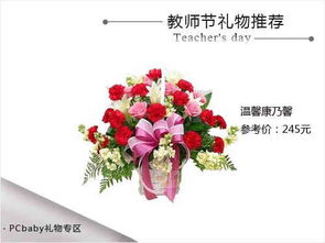 康乃馨：爱与希望的象征，探索其独特魅力和象征意义