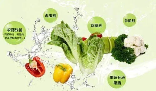 有机蔬菜，真的比普通蔬菜geng平安吗？