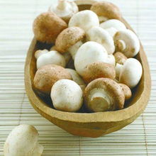 多菌灵，替代品有哪些？