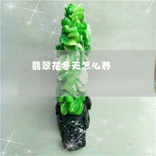 翡翠盆栽不长，土壤肥力不足怎么办