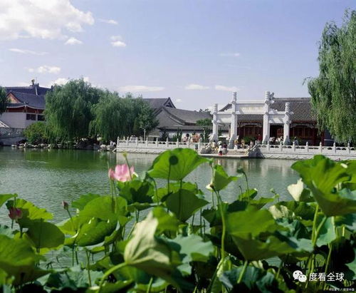 深圳，这座花园城市的魅力