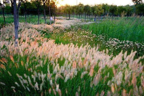 景观风格特点大集合