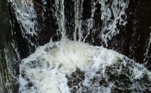 水华与赤潮：农药的“杰作”