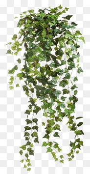 材料费的隐藏压缩空间