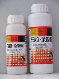 Ru果误食了杀虫剂， 应该马上采取措施